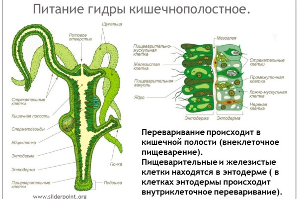 Кракен продает наркотики